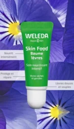 Skin Food Baume Lèvres certifié Bio