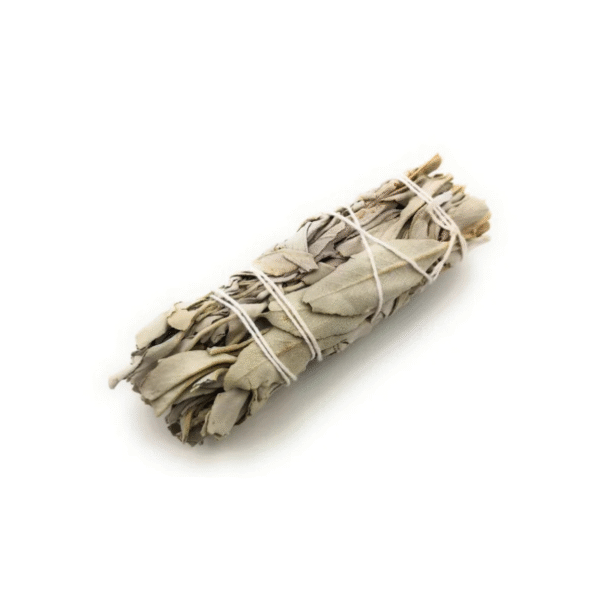 Fagot de Sauge Blanche Californienne - Salvia Apiana Purificatrice - 100% Naturelle