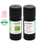 Huile essentielle de Ravintsara certifiée Bio Pack Hiver immunité