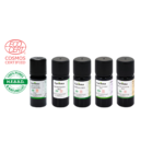 Bouclier Hiver & Immunité Globulus - Avec HE de Pin Sylvestre - Huiles essentielles certifiées Bio