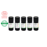 Bouclier Hiver & Immunité Radiata - Avec HE de Pin Sylvestre - Huiles essentielles certifiées Bio