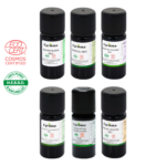 Bouclier Hiver & Immunité Radiata - Avec HE de Pin Sylvestre - Huiles essentielles certifiées Bio