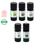 Bouclier Hiver & Immunité Radiata - Sans HE de Pin Sylvestre - Huiles essentielles certifiées Bio