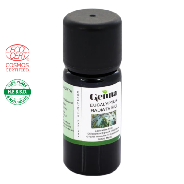 Huile essentielle d'Eucalyptus Radiata certifiée Bio
