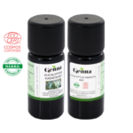 Pack Hiver immunité vacance voyage Lot de 5 Huiles essentielles certifiées Bio Cosmos Organic par Ecocert - Huile essentielle d'Eucalyptus Radiata